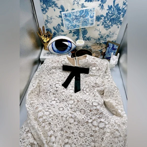 🆕 BRONX & BANCO 🧿 NWOT Courtney Long Sleeve White Lace Mini Dress - Size XL/10 - Picture 2 of 16